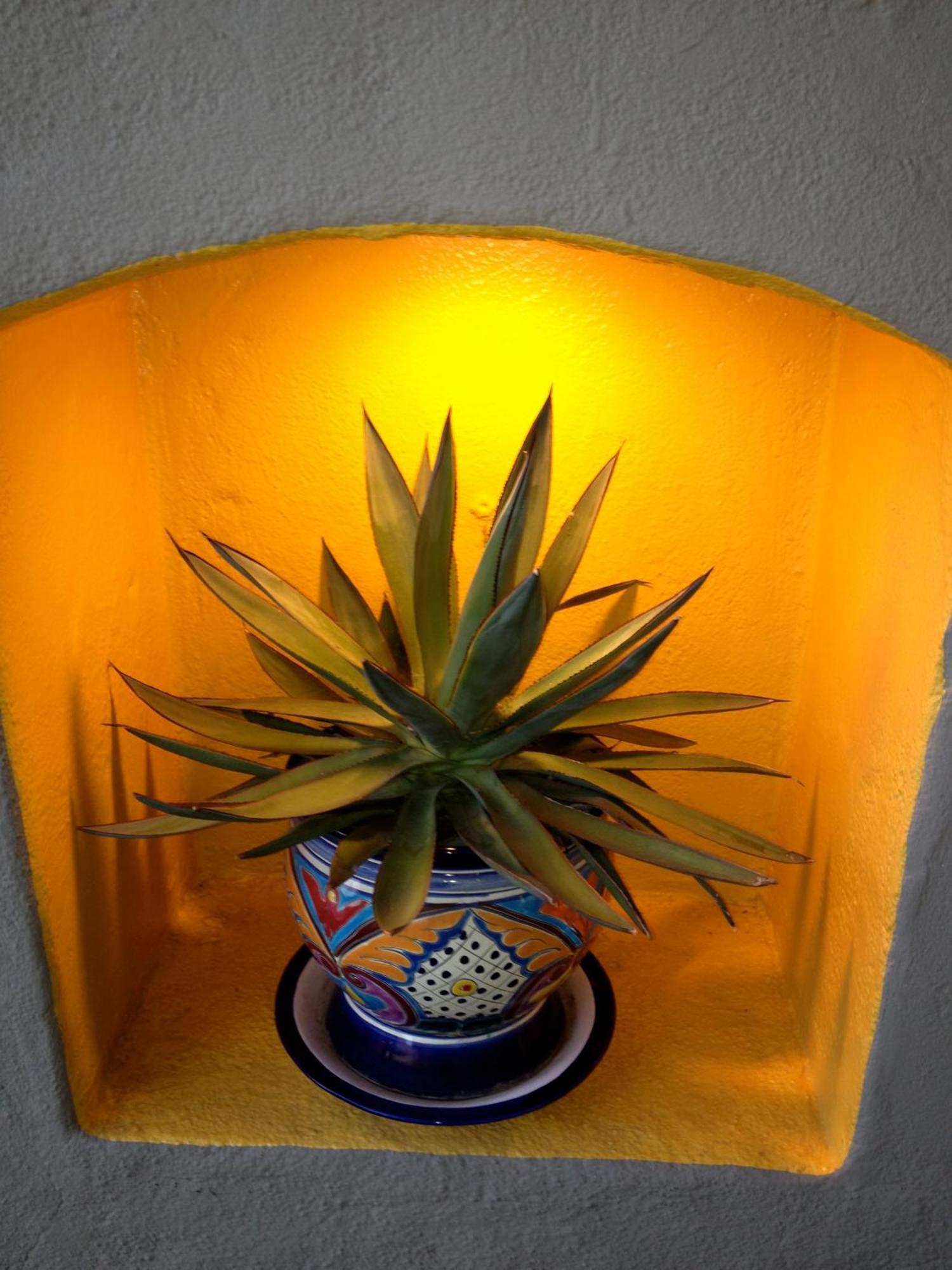 Agave Inn Santa Barbara Zewnętrze zdjęcie